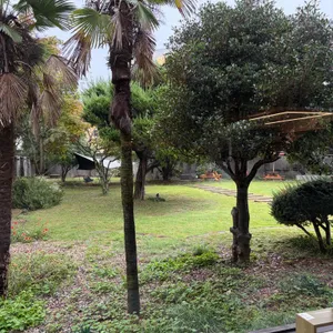 카페 담 리뷰 사진