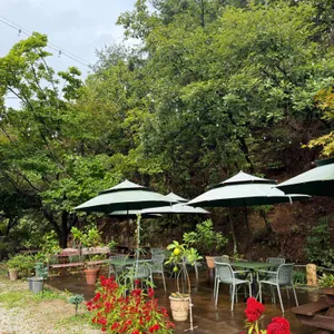 카페담 리뷰 사진