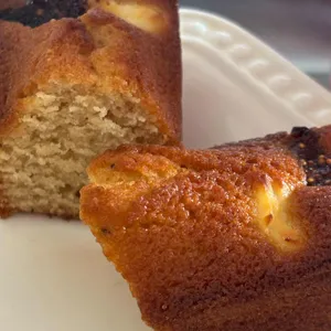 레뽀드라라 사진