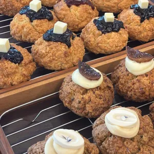 레뽀드라라 사진