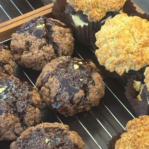 레뽀드라라 사진