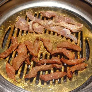 송도갈매기 사진 1