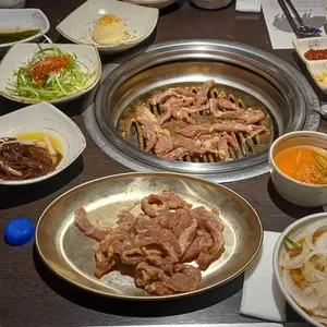 송도갈매기 사진