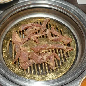 송도갈매기 사진