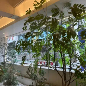 봄을담아 리뷰 사진