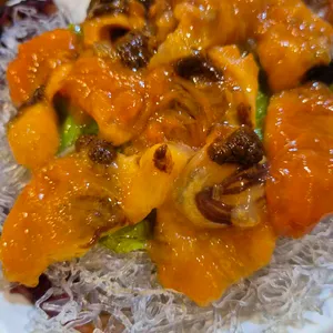 자갈치회물회 사진