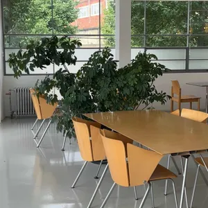 오이 리뷰 사진