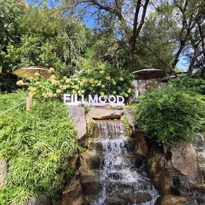 필무드 리뷰 사진