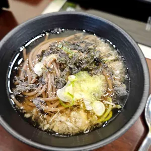 메밀나무 사진