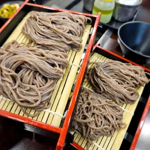 메밀나무 대표 사진