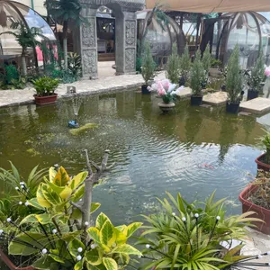 썸데이로맨스 리뷰 사진