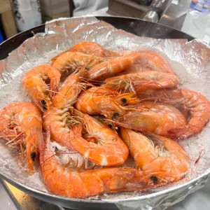 푸른바다 싱싱바다이야기 사진