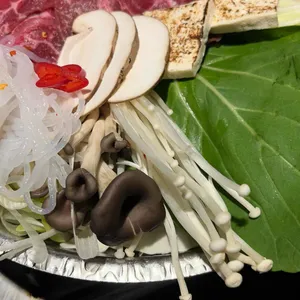 미토 사진