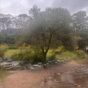 퍼들하우스 리뷰 사진