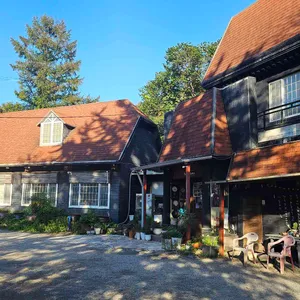 조자룡 리뷰 사진