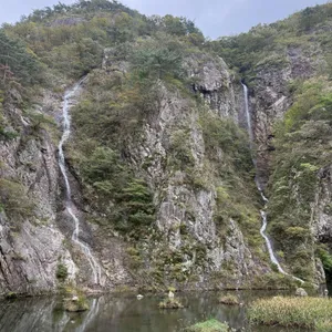 다래 대표 사진