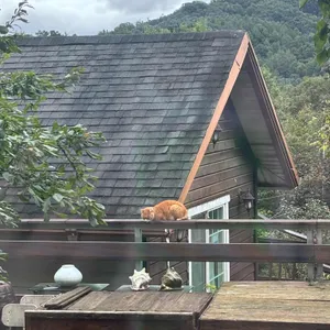 귀곡산장 리뷰 사진