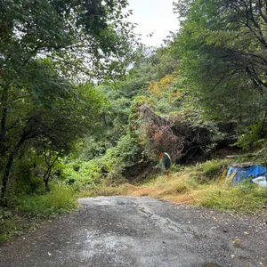 귀곡산장 리뷰 사진