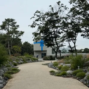 목적지 나인 리뷰 사진