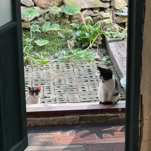 플랫 리뷰 사진