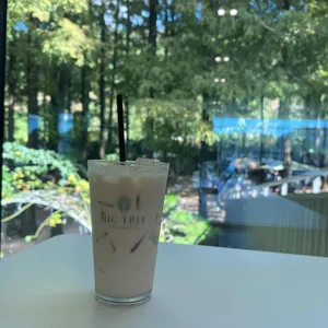 빅트리 대표 사진