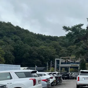 카페 수목 리뷰 사진