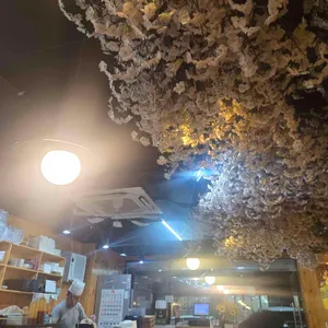 은호스시 리뷰 사진