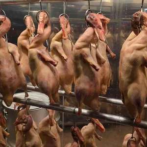 윈야드 아시안 퀴진 리뷰 사진