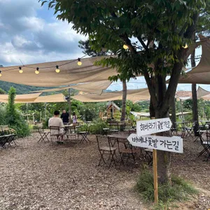 감자밭 리뷰 사진