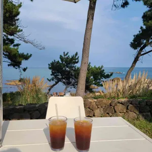 오프오 사진 1