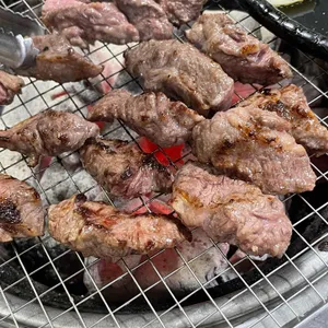 꽃보다소 사진