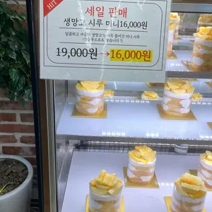 빵파제 리뷰 사진