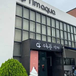 팀아쿠아 사진