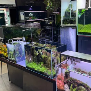 팀아쿠아 리뷰 사진