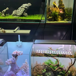 팀아쿠아 리뷰 사진