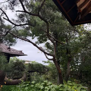 프란쓰 리뷰 사진