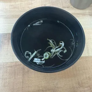 서울김밥 리뷰 사진