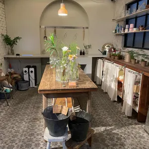 클레멘타인 리뷰 사진