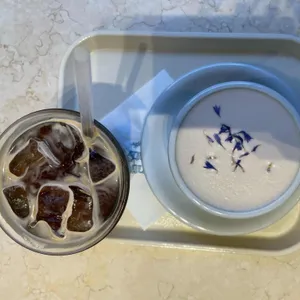 클레멘타인 사진