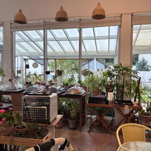 메타포레스트 리뷰 사진