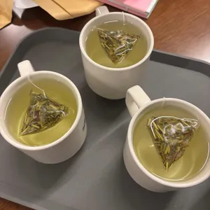 샬로우커피 사진