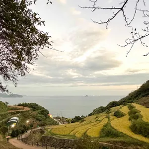 다랭이밥상 리뷰 사진