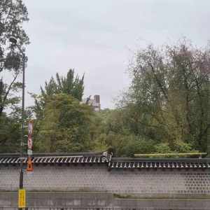 일트 리뷰 사진