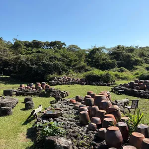 야원 대표 사진