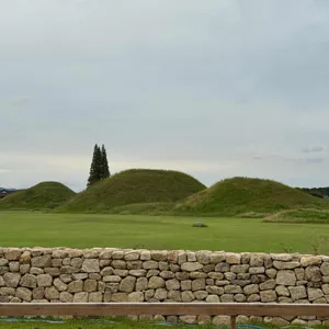 테라로사 리뷰 사진