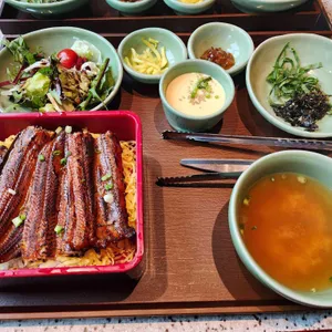 양심장어 대표 사진