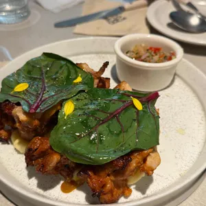 심퍼티쿠시 사진