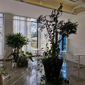 슈얼리 리뷰 사진