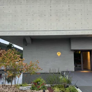 골든트리 리뷰 사진