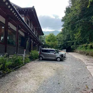 그리네 사바나 리뷰 사진